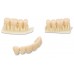 Kulzer DIMA Print Resin - Denture Teeth 1000g - Shade Options Available